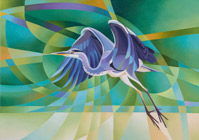Heron-taking-flighthome